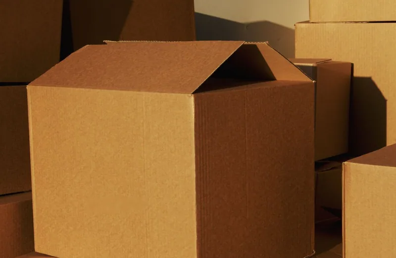 Cartons prepared for outbound release and international dispatch